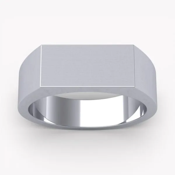 modern signetring